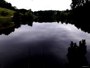 20200620_073426.jpg
