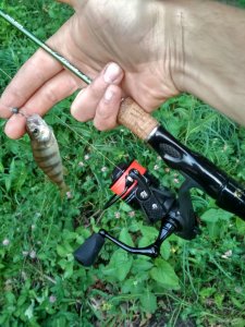 IMG_20200620_202504_HDR[1].jpg