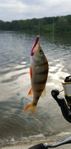 IMG_20200620_063007.jpg