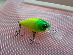 IMG_20200523_163334.jpg