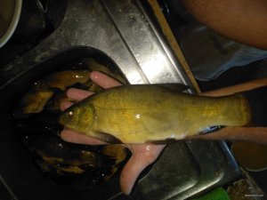 IMG_20200621_165336.jpg