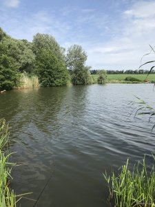 IMG_1236.JPG
