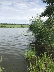 IMG_1238.JPG