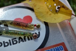 DSC_0011.jpg