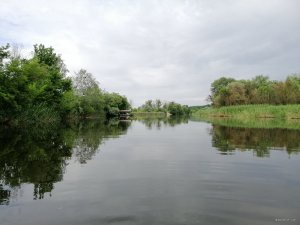 IMG_20200620_080005.jpg
