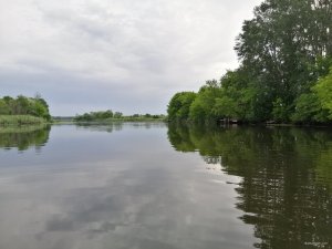 IMG_20200620_080016.jpg