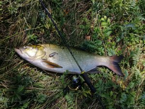 IMG_20190807_105210.jpg