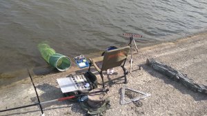 IMG_20200622_082718.jpg