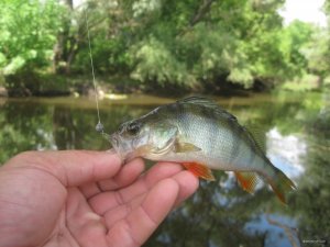 IMG_2938.JPG