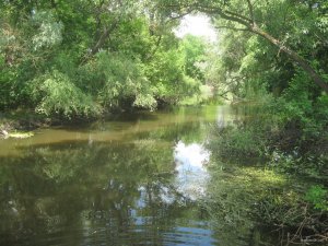 IMG_2940.JPG