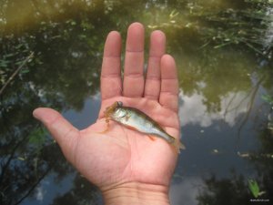 IMG_2945.JPG