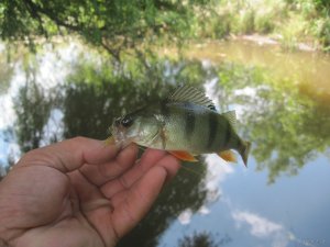 IMG_2951.JPG