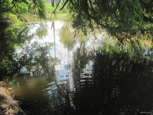 IMG_2954.JPG