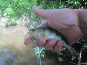 IMG_2955.JPG