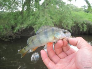 IMG_2959.JPG