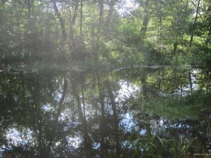 IMG_2967.JPG