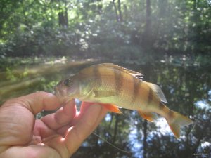 IMG_2969.JPG