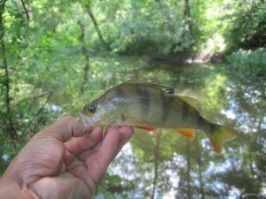 IMG_2972.JPG