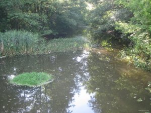 IMG_2975.JPG