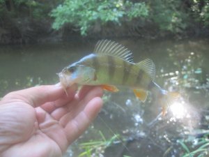 IMG_2976.JPG
