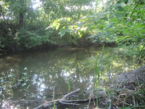 IMG_2982.JPG