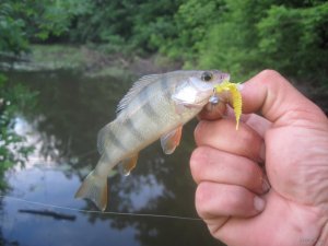 IMG_2985.JPG