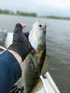 IMG_20200531_202908.jpg