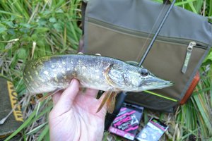 DSC_1205.jpg