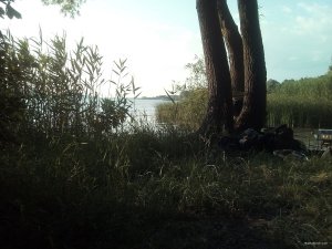 IMG_20200626_185225.jpg