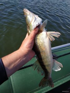 IMG_20200628_165036.jpg