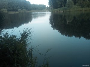 IMG_20200629_185326.jpg