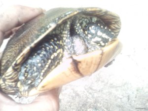 IMG_20200629_163522.jpg