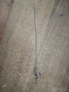 IMG_20200701_112309.jpg