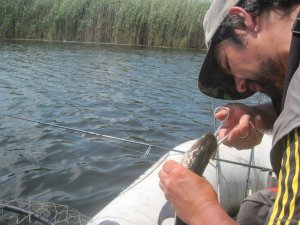IMG_2993.JPG