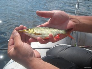 IMG_2997.JPG