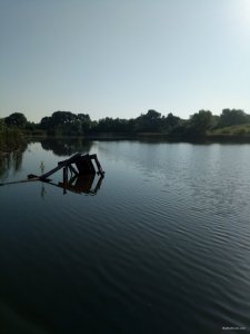 IMG_20200630_072232.jpg