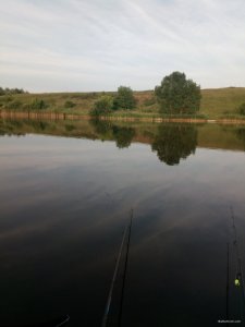 IMG_20200630_192804.jpg