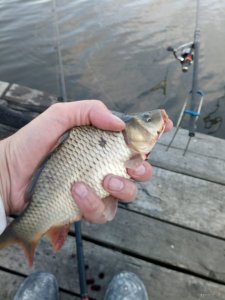 IMG_20200629_192312.jpg