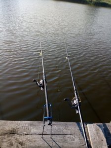 IMG_20200630_072228.jpg