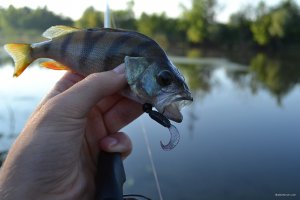 DSC_0141.jpg