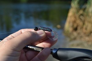 DSC_0150.jpg