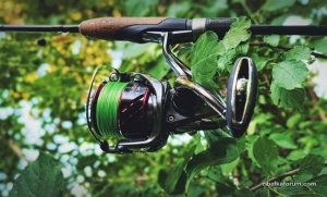 2DF15033-4817-44C7-BB77-DDA09A8B19C0.jpeg