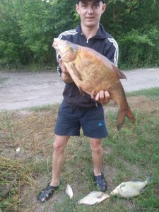 IMG_20200705_044159.jpg