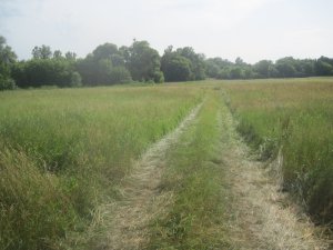 IMG_3001.JPG
