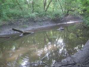 IMG_3006.JPG