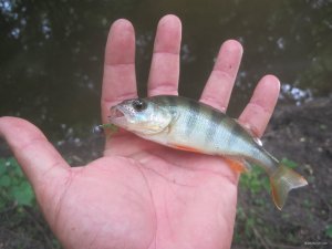 IMG_3008.JPG