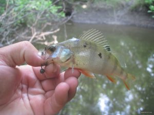 IMG_3012.JPG