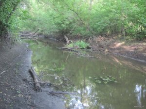 IMG_3016.JPG