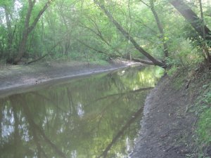 IMG_3019.JPG