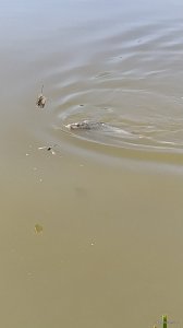 IMG_20200711_150429.jpg